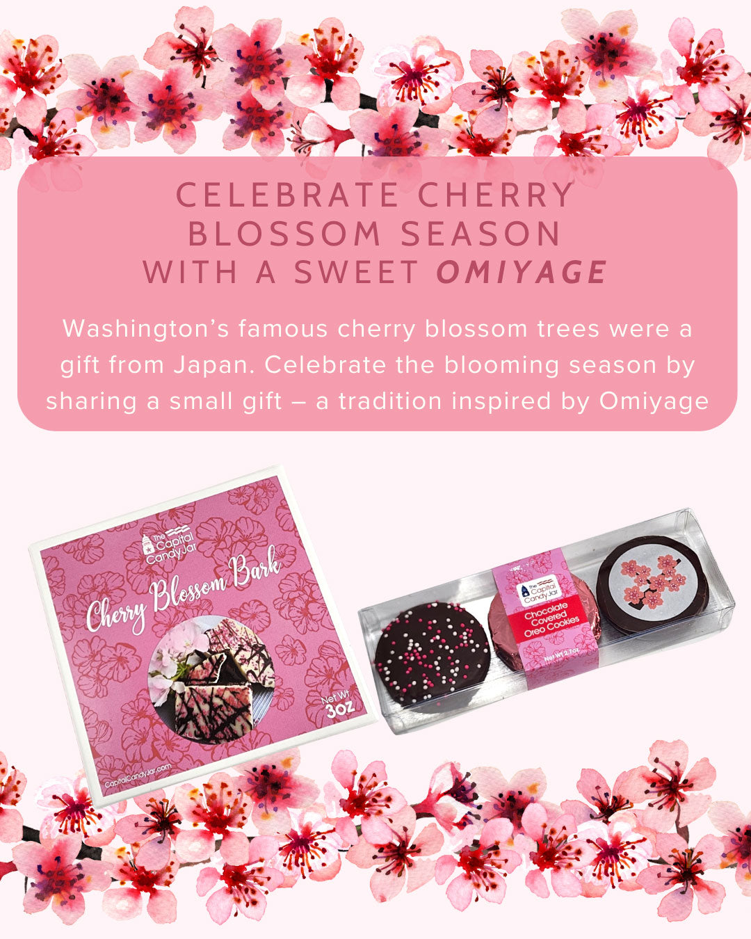 DC Omiyage: Cherry Blossom Gifts from Washington – Capital Candy Jar